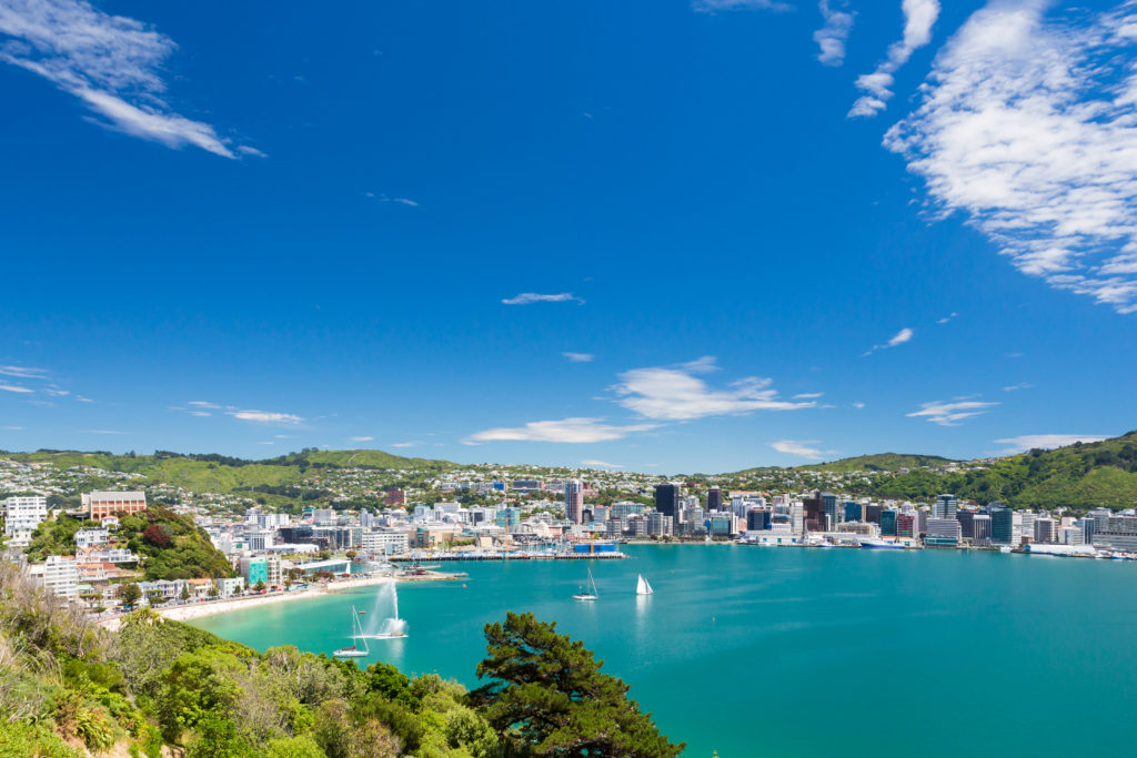 View from Mount Victoria into the bay of Wellington.