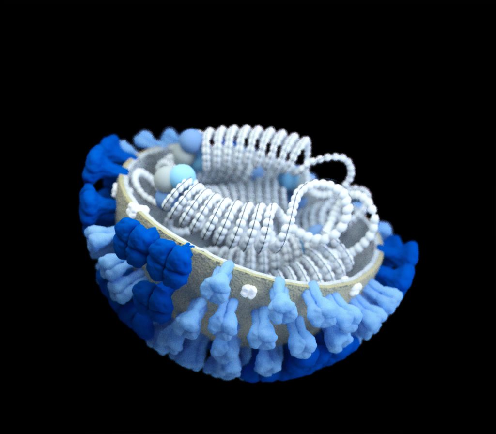 Digital image of a virus and it's components