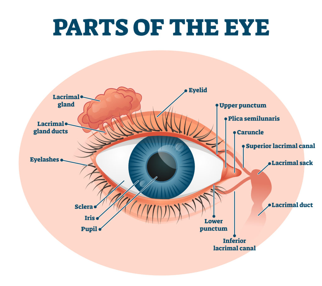 watery eye diagram